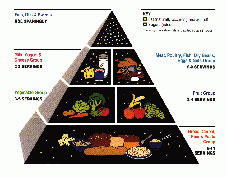 La piramide alimentare illustrata dal Dott. Diego Arcelli Nutrizionista a Roma
